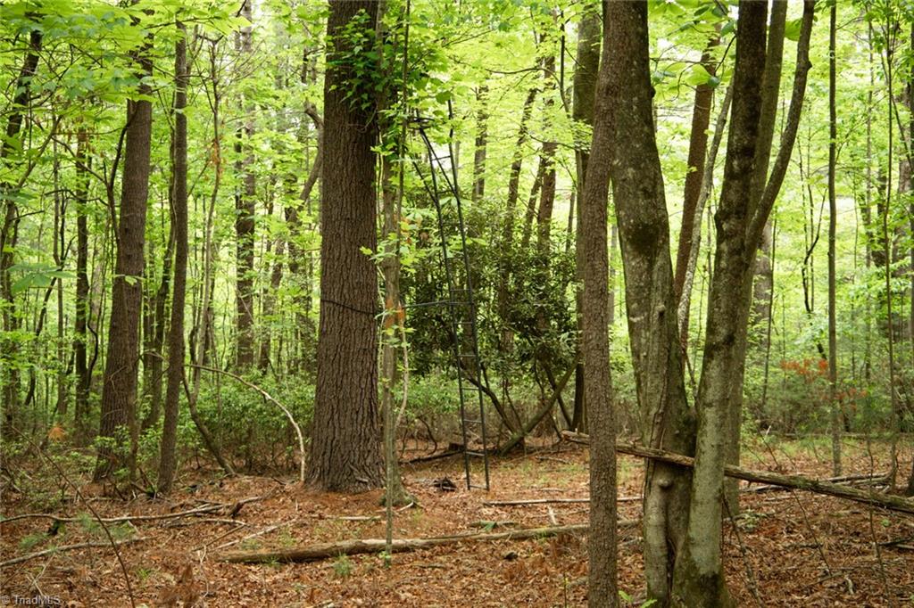property viewer photo 18