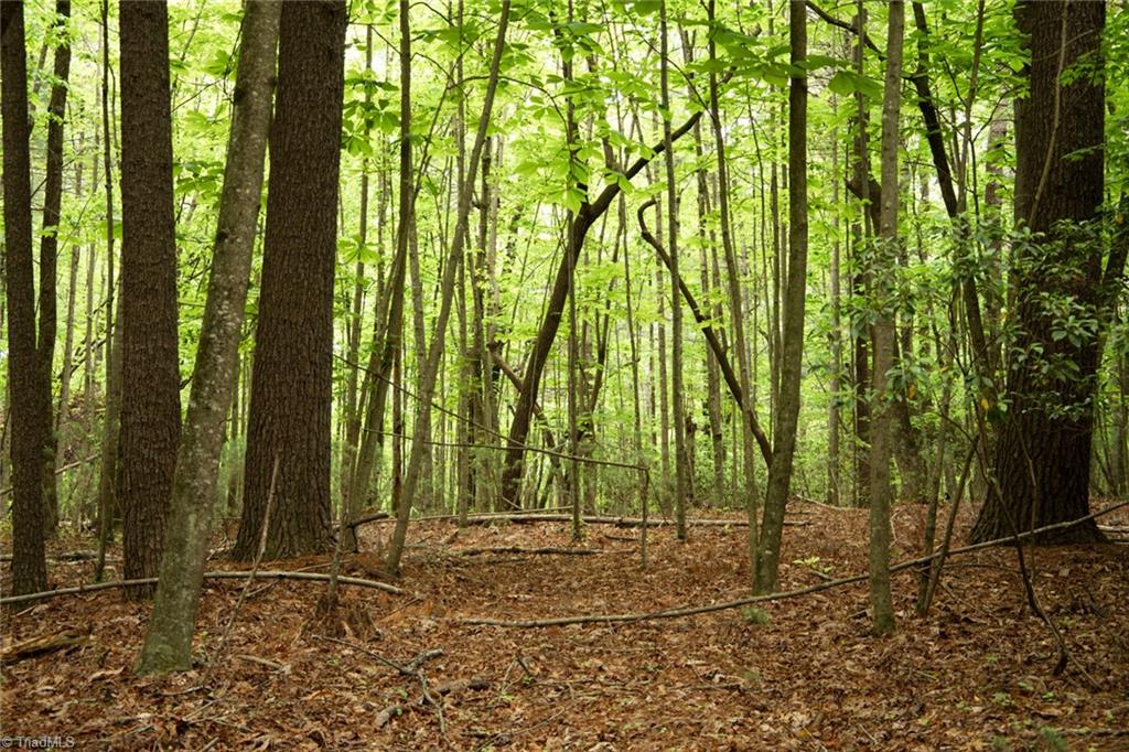 property viewer photo 19