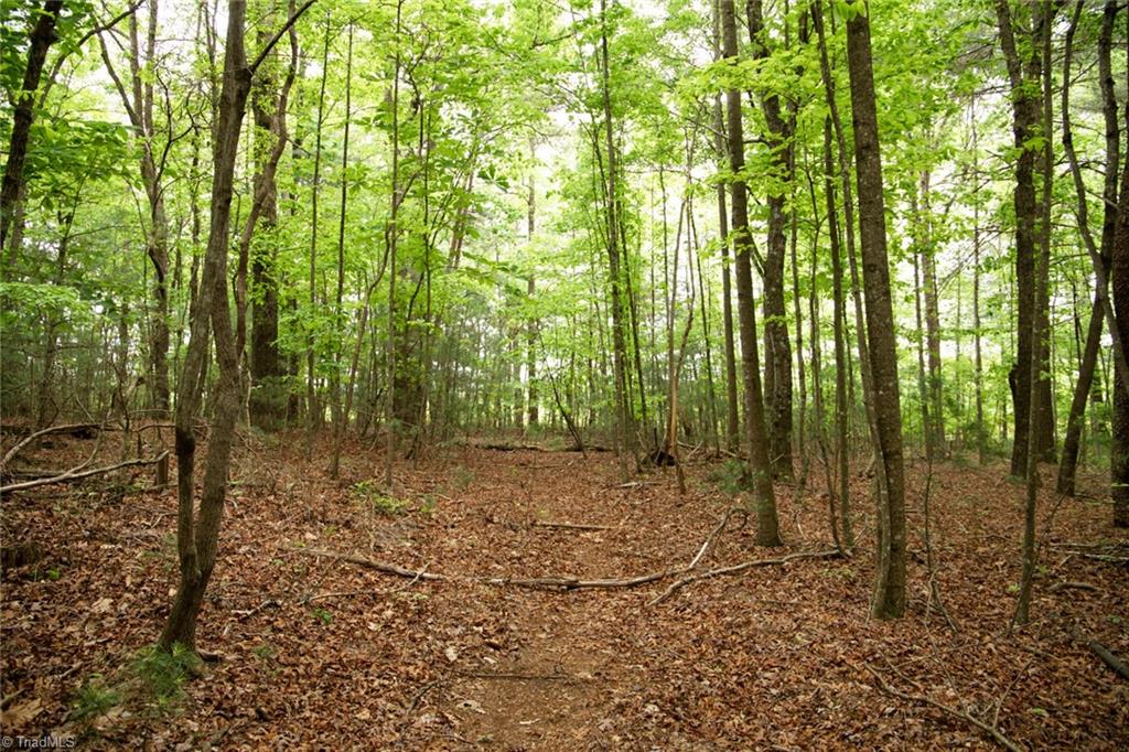 property viewer photo 21