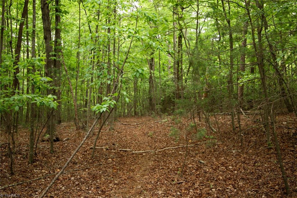 property viewer photo 22