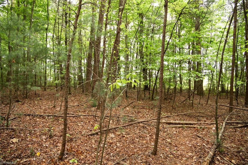 property viewer photo 23
