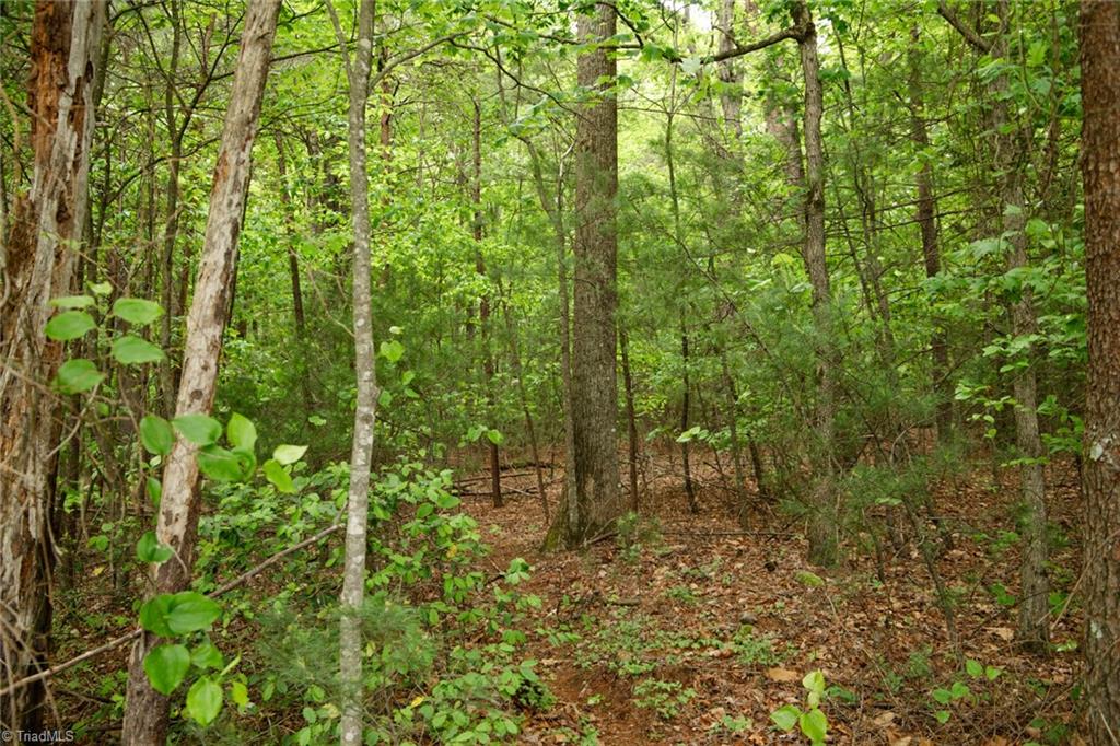 property viewer photo 24