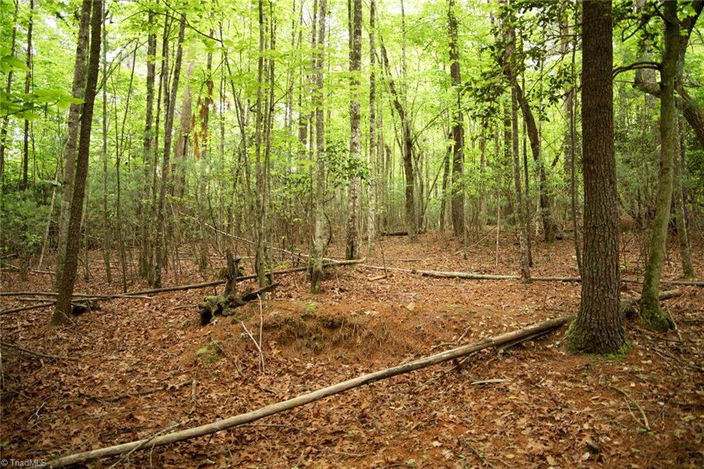 property viewer photo 7
