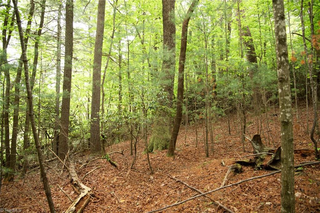 property viewer photo 8