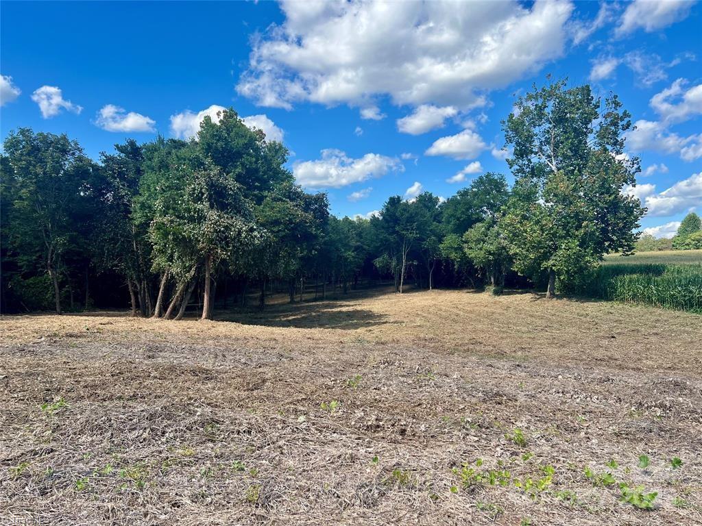 main property photo 9