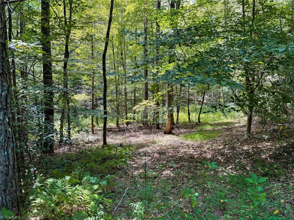 property viewer photo 15