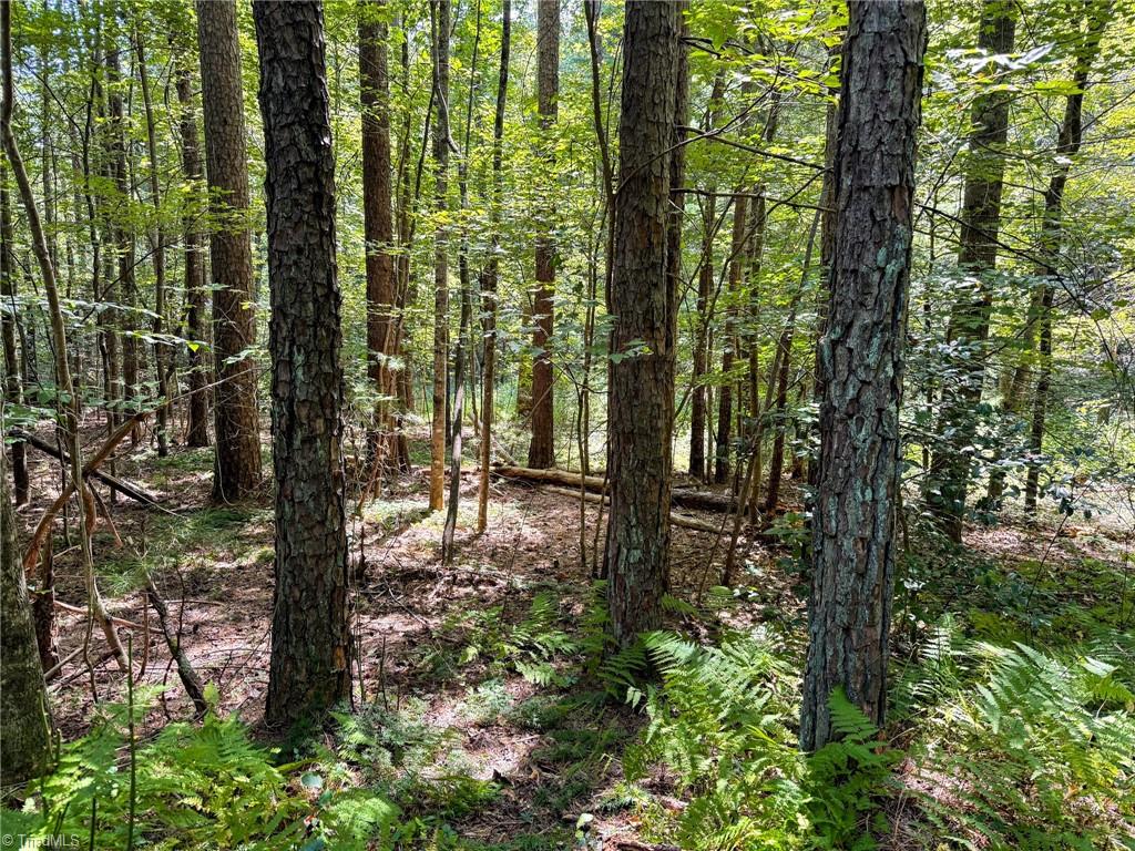 property viewer photo 16