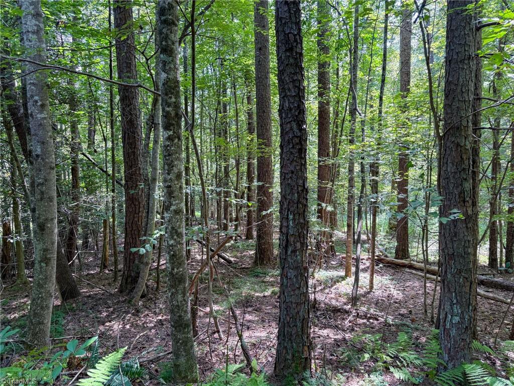property viewer photo 17