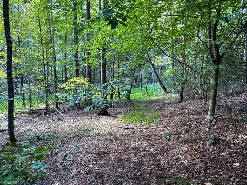 property viewer photo 18