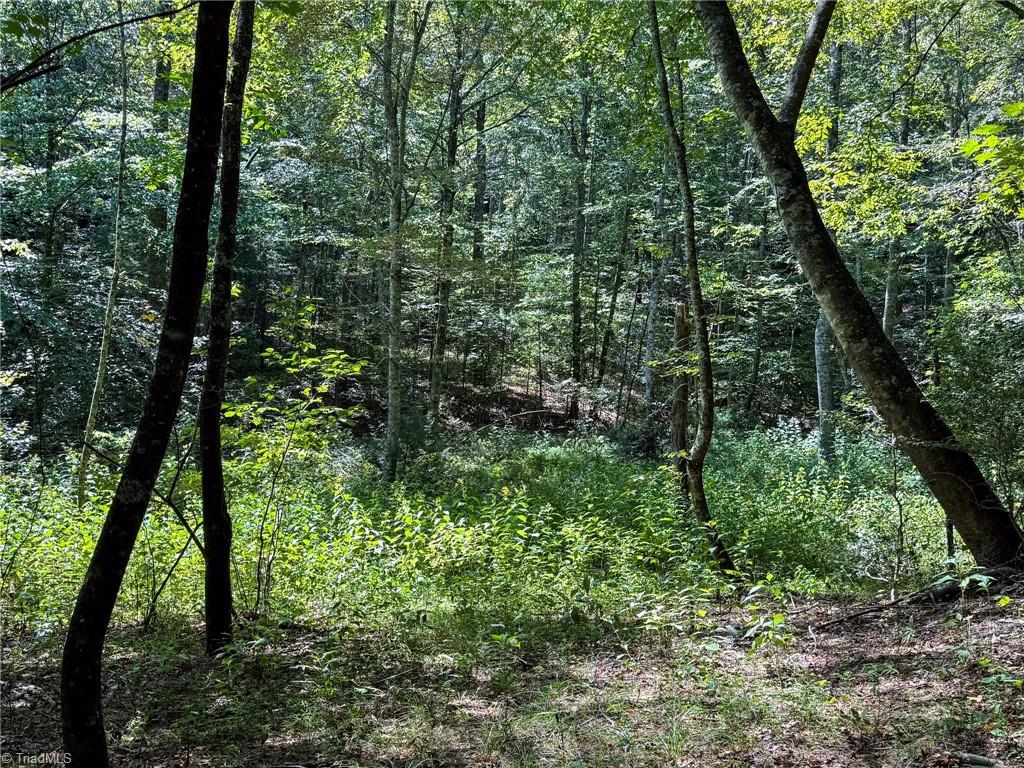 property viewer photo 21