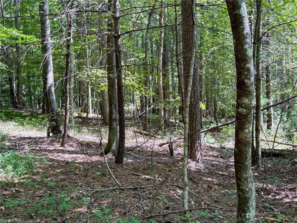 property viewer photo 23