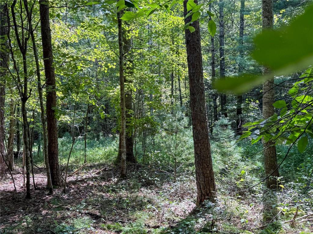 property viewer photo 25