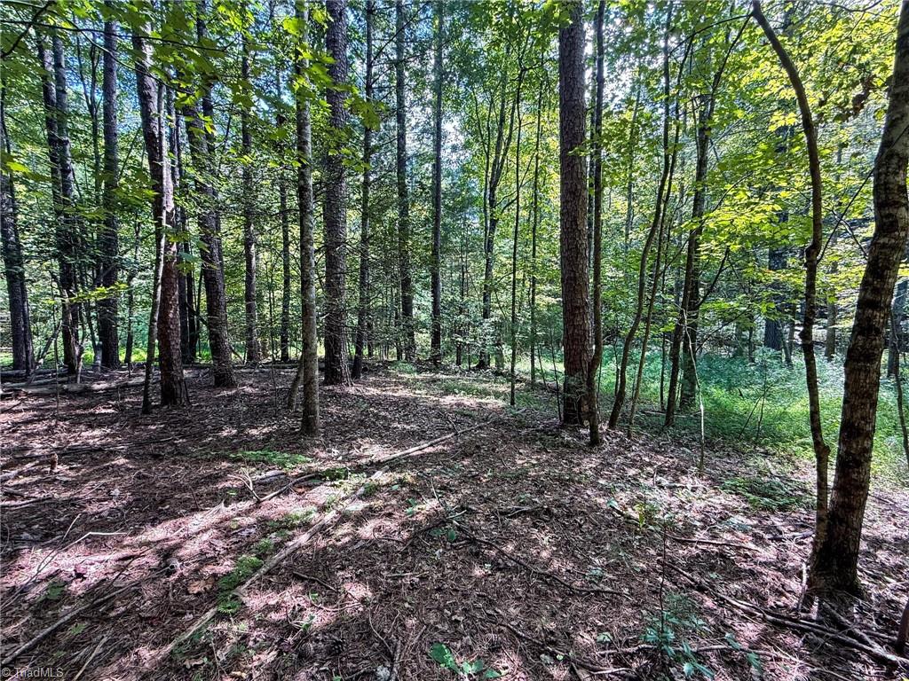 property viewer photo 28