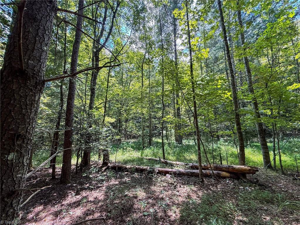 property viewer photo 31