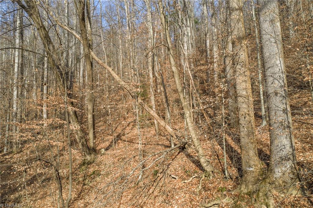 property viewer photo 13