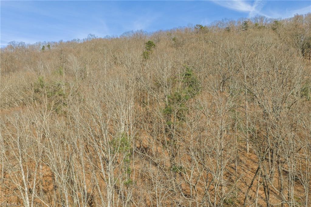 property viewer photo 14