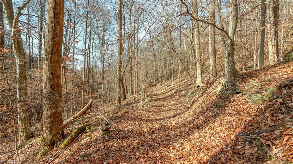property viewer photo 21