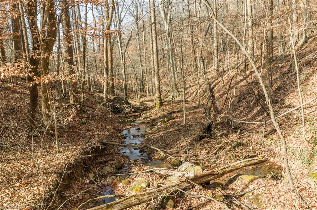 property viewer photo 6