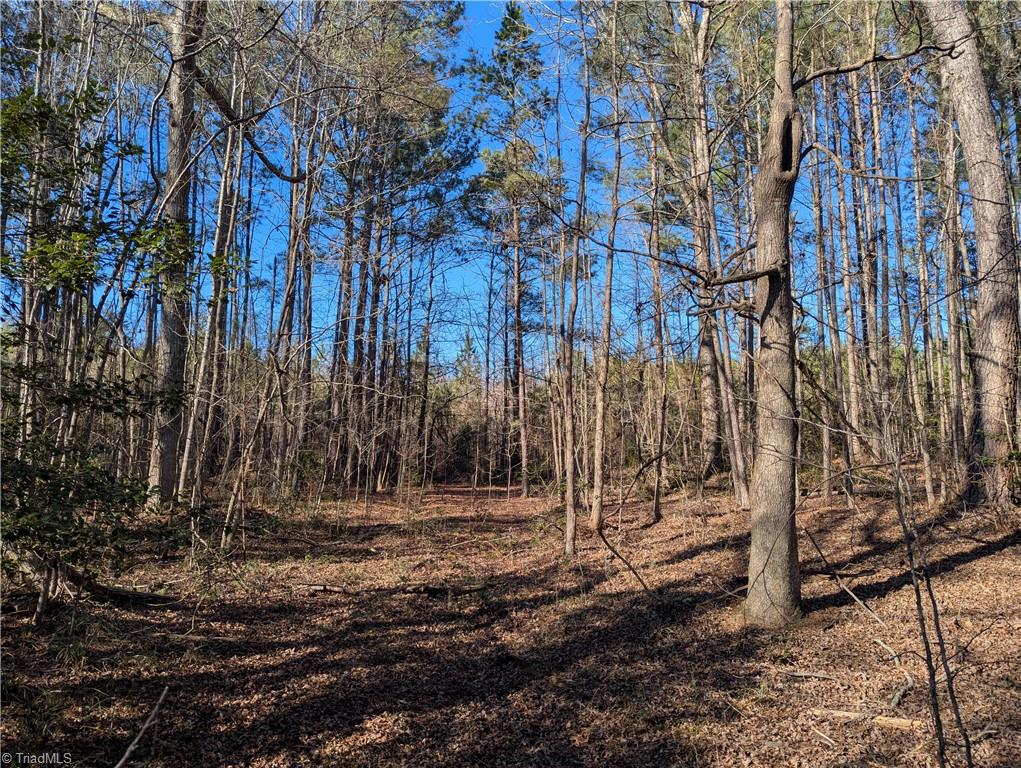 property viewer photo 1