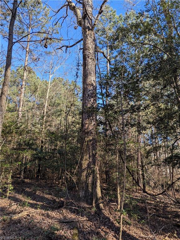property viewer photo 2