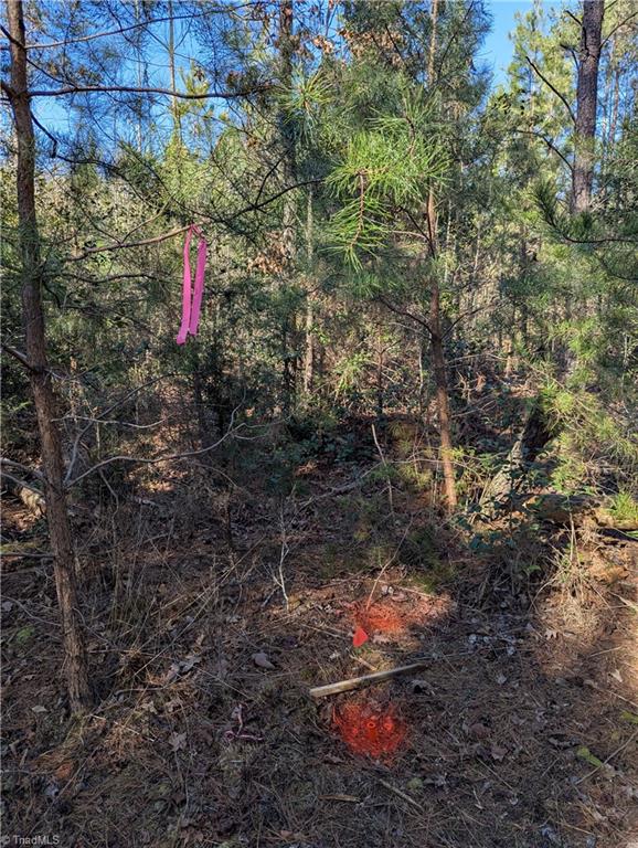 property viewer photo 6