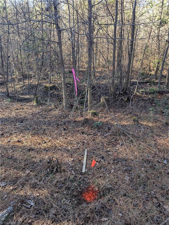 property viewer photo 7