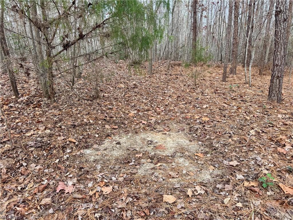 property viewer photo 11