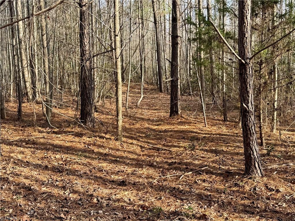 property viewer photo 19