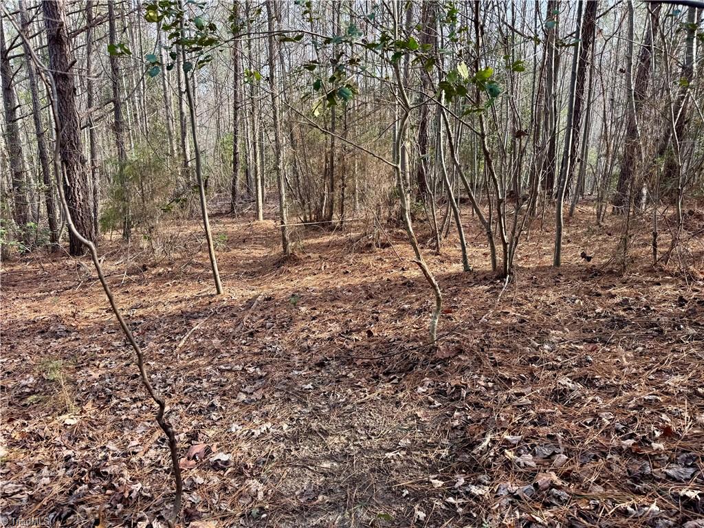 property viewer photo 22