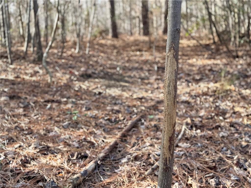 property viewer photo 24