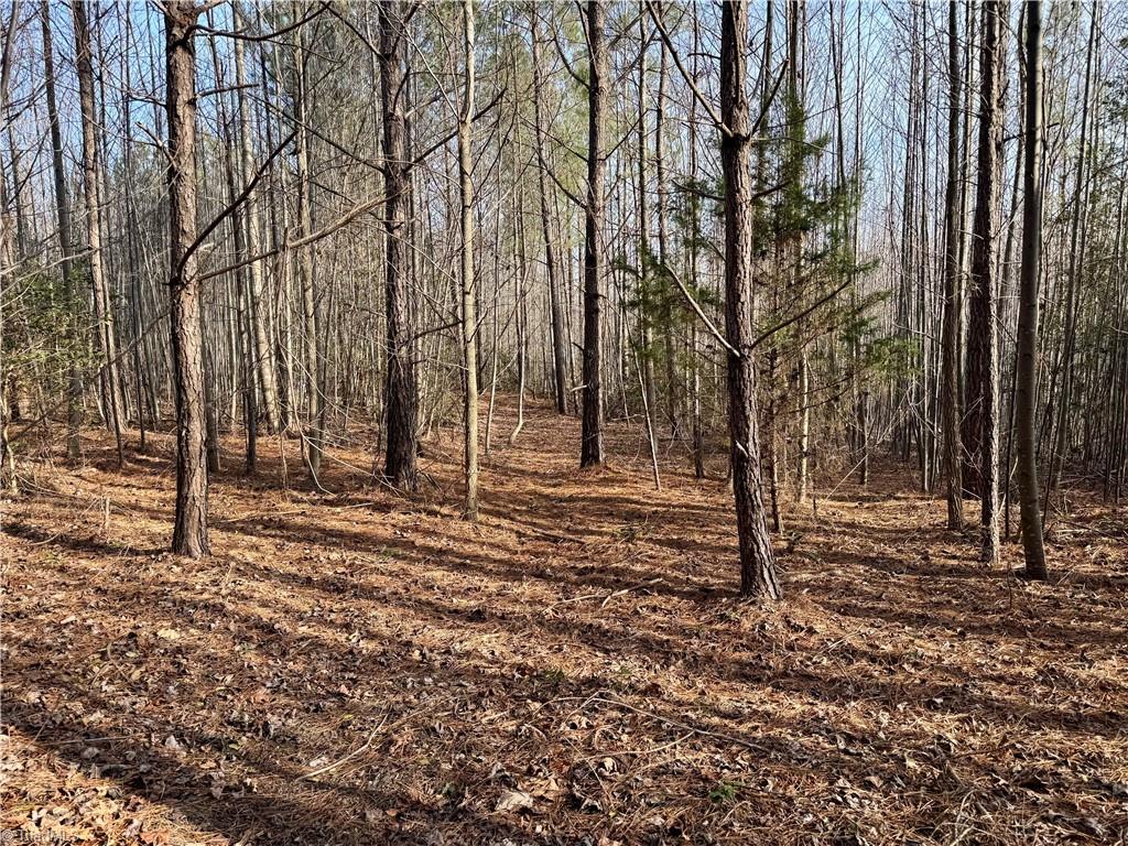 property viewer photo 25