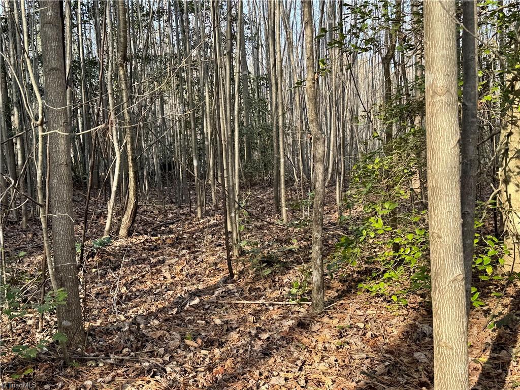 property viewer photo 26
