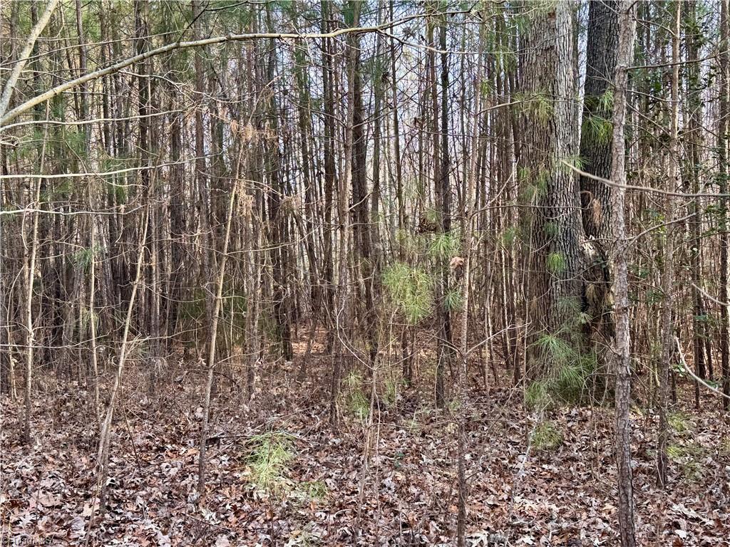 property viewer photo 27