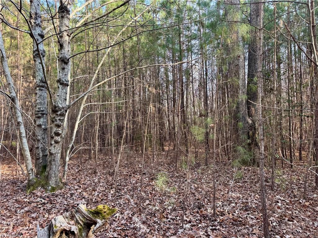 property viewer photo 28