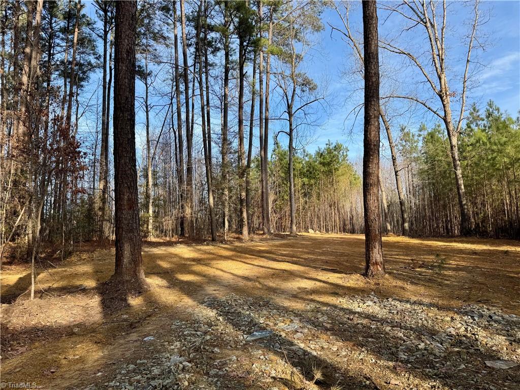 property viewer photo 4
