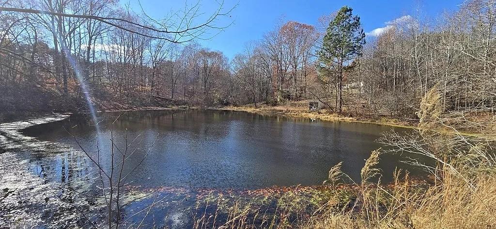 property viewer photo 2