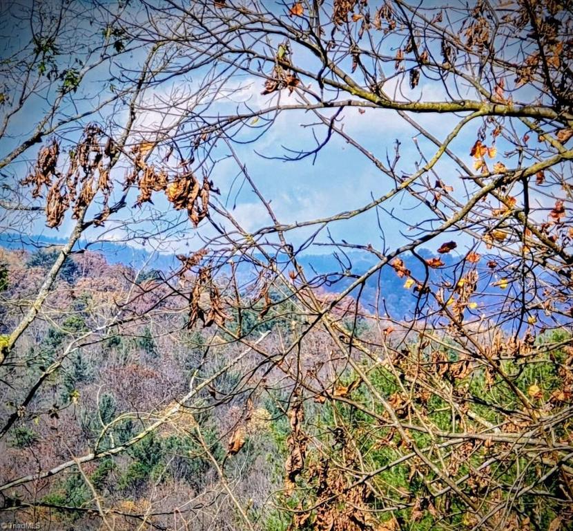 property viewer photo 28