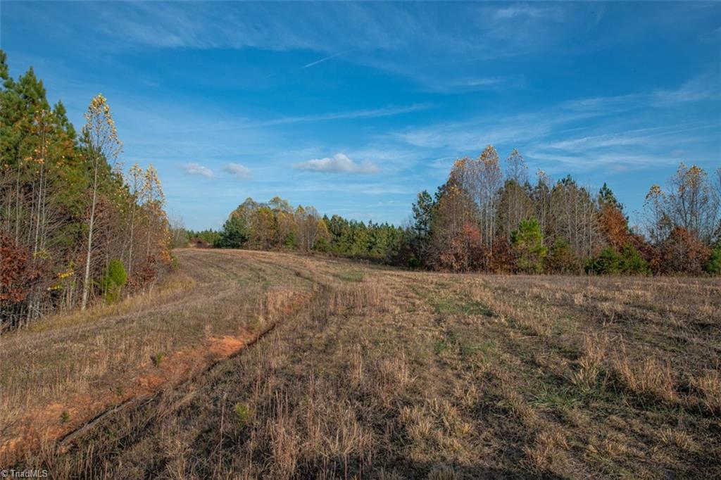 property viewer photo 11