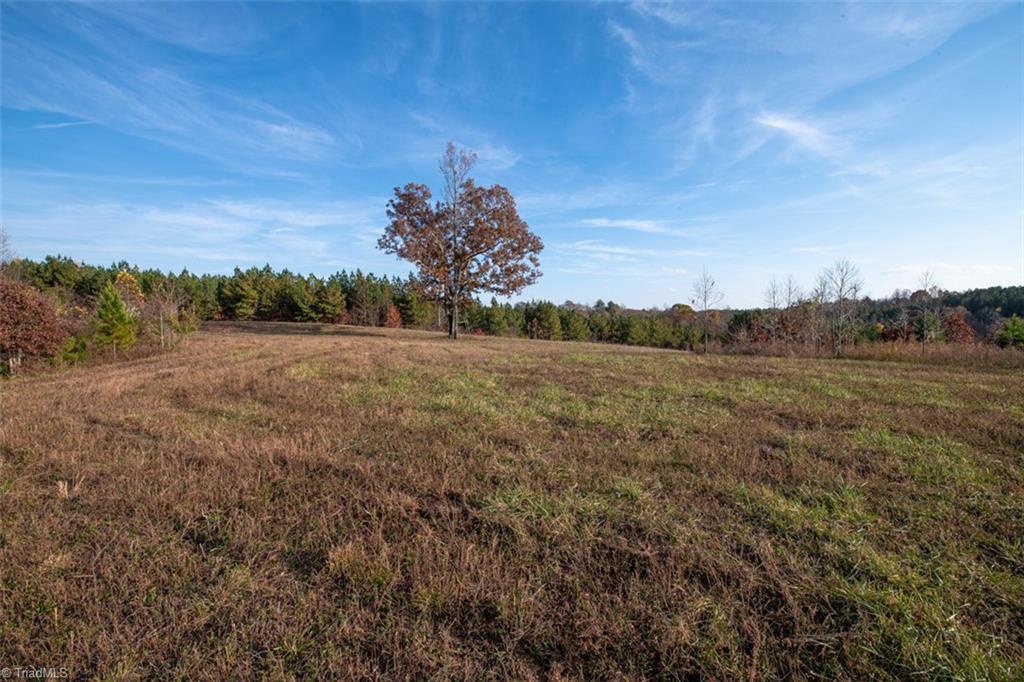 property viewer photo 13