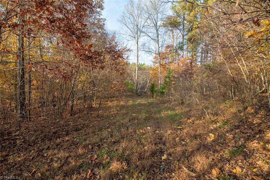 property viewer photo 17