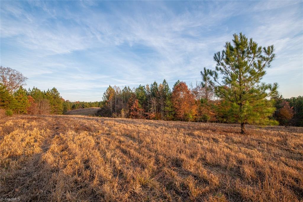 property viewer photo 2