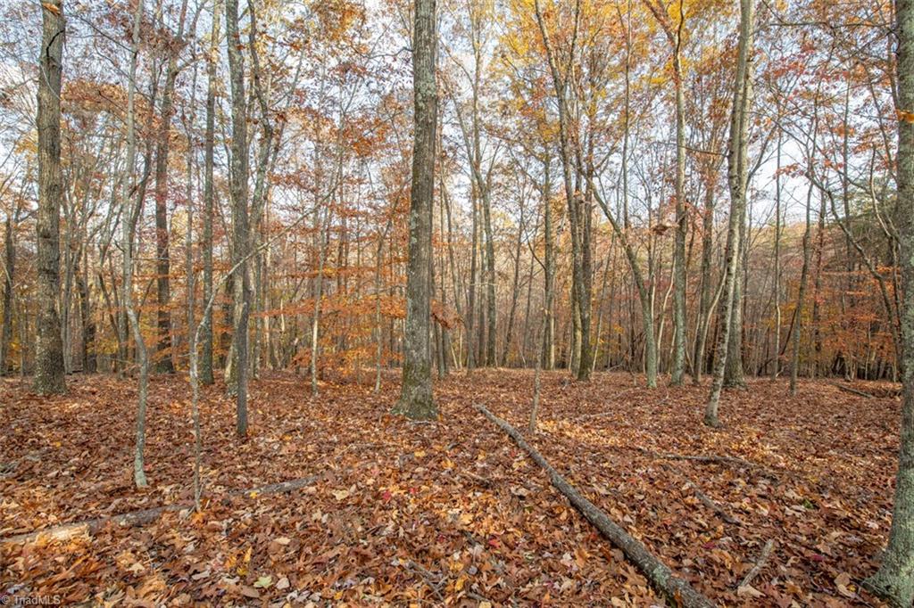 property viewer photo 22