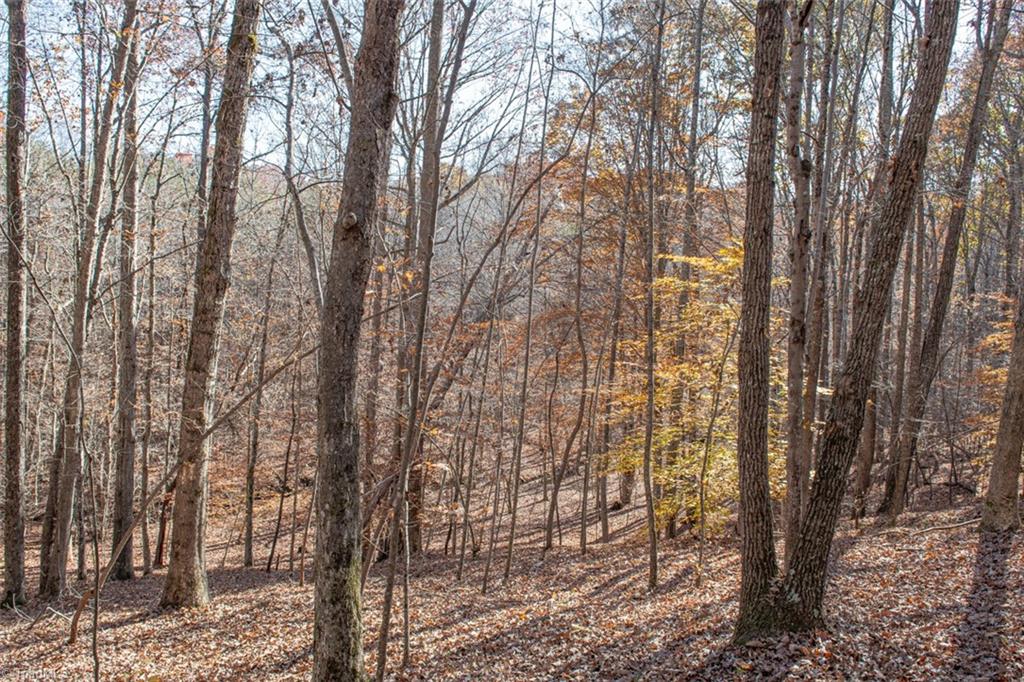 property viewer photo 26