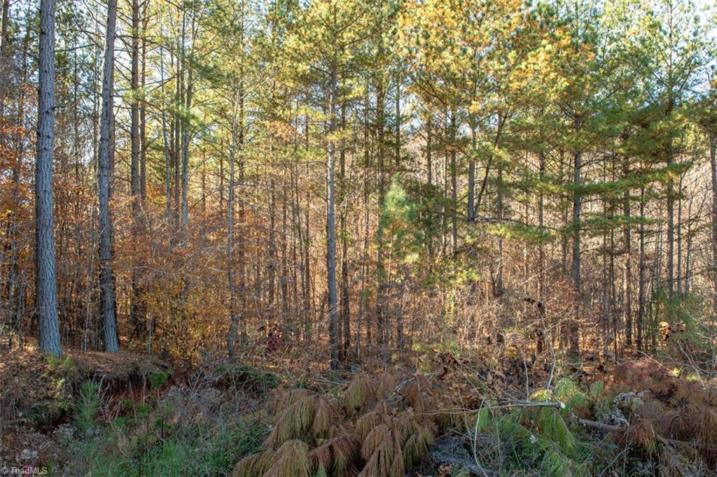 property viewer photo 29