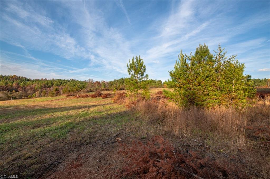 property viewer photo 3