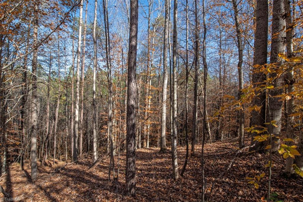 property viewer photo 32