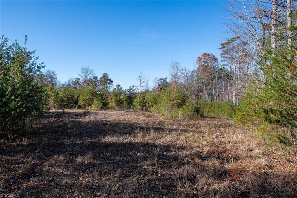property viewer photo 35