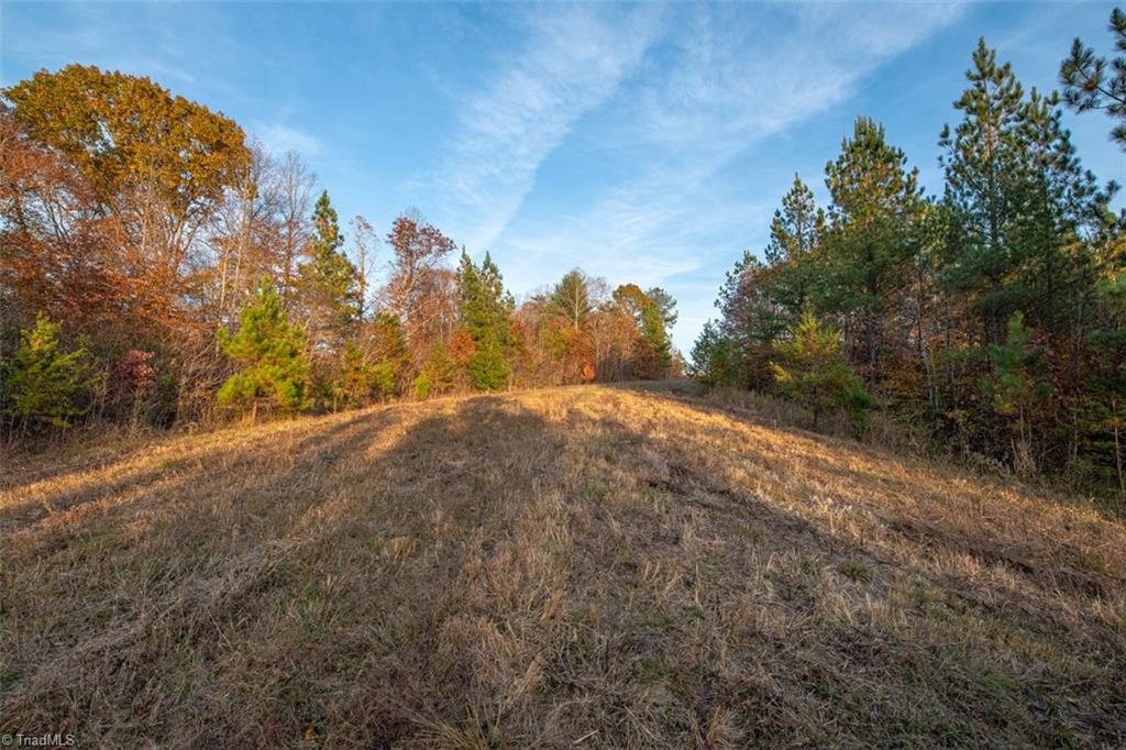 property viewer photo 41