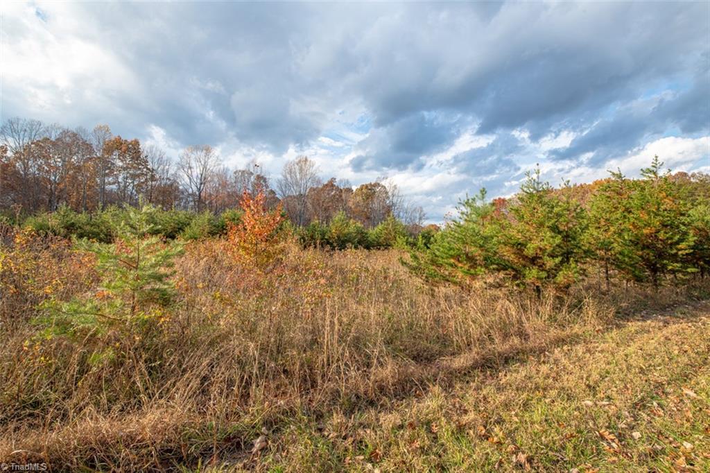 property viewer photo 44