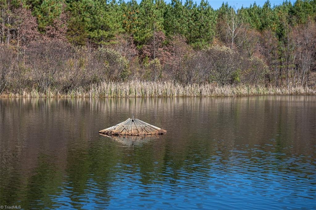 property viewer photo 45